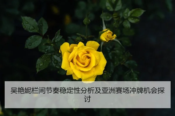 吴艳妮栏间节奏稳定性分析及亚洲赛场冲牌机会探讨