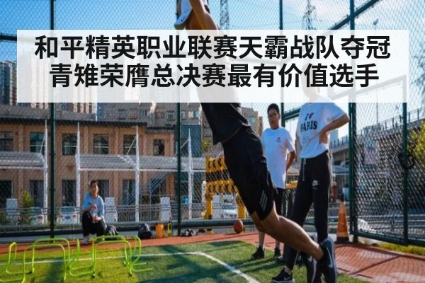 和平精英职业联赛天霸战队夺冠青雉荣膺总决赛最有价值选手